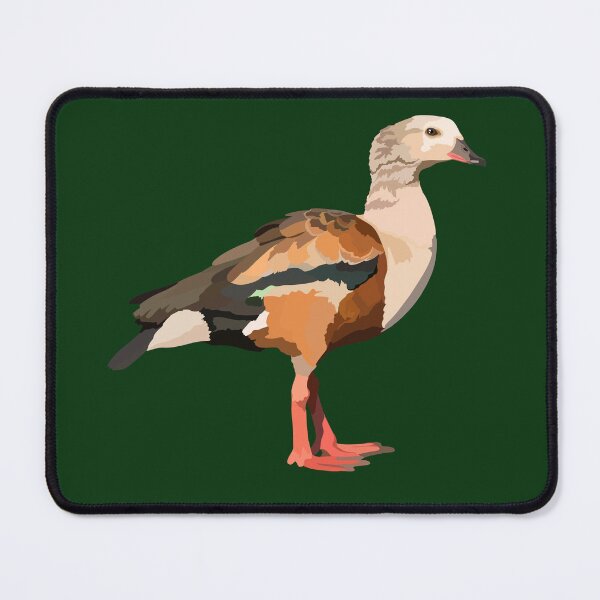 Item preview, O is for Orinoco Goose, Orinoco Goose | Bird Lover & Wildlife Art Design designed and sold by PrettylittlepastelUk.