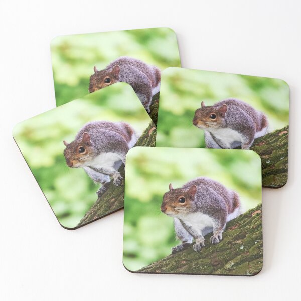 Item preview, Inquisitive young grey squirrel designed and sold by ChimaHome.