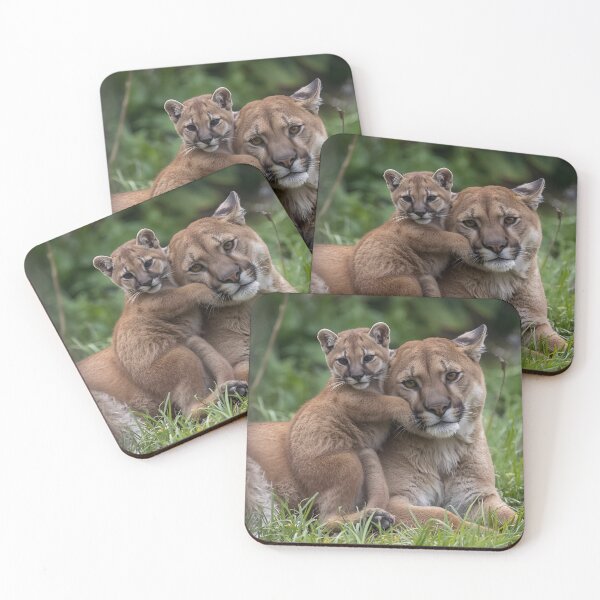 Item preview, Animal Baby Series, Cougar designed and sold by FullSurrender.