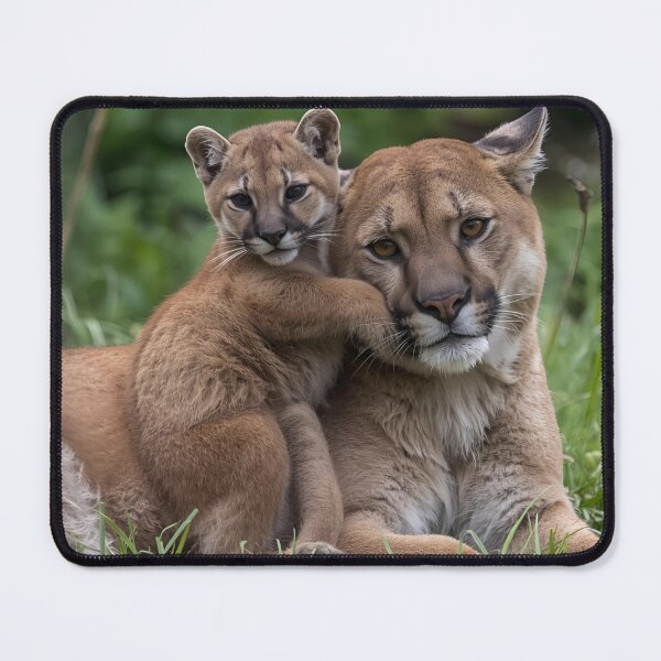 Item preview, Animal Baby Series, Cougar designed and sold by FullSurrender.
