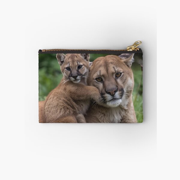 Item preview, Animal Baby Series, Cougar designed and sold by FullSurrender.