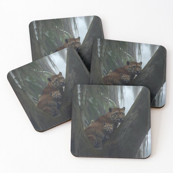 Item preview, Animal Baby Series, Florida Panther designed and sold by FullSurrender.