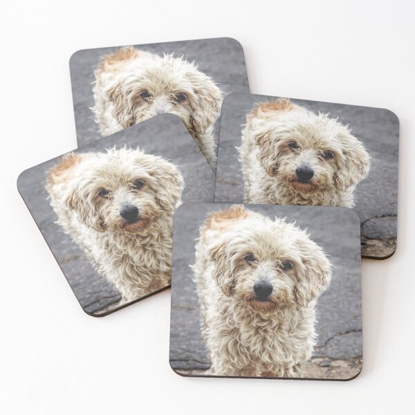 Item preview, I need a home designed and sold by ChimaHome.