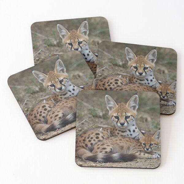 Item preview, Animal Baby Series, Serval designed and sold by FullSurrender.