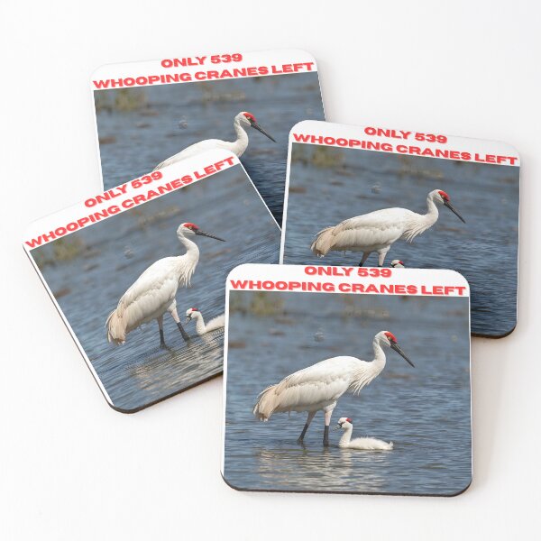 Item preview, Animal Baby Series, Endangered Species, Whooping Crane designed and sold by FullSurrender.