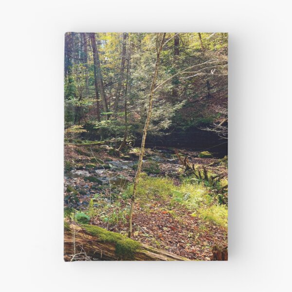 Item preview, Mossy Autumn Stream designed and sold by BlurpleTwinkle.