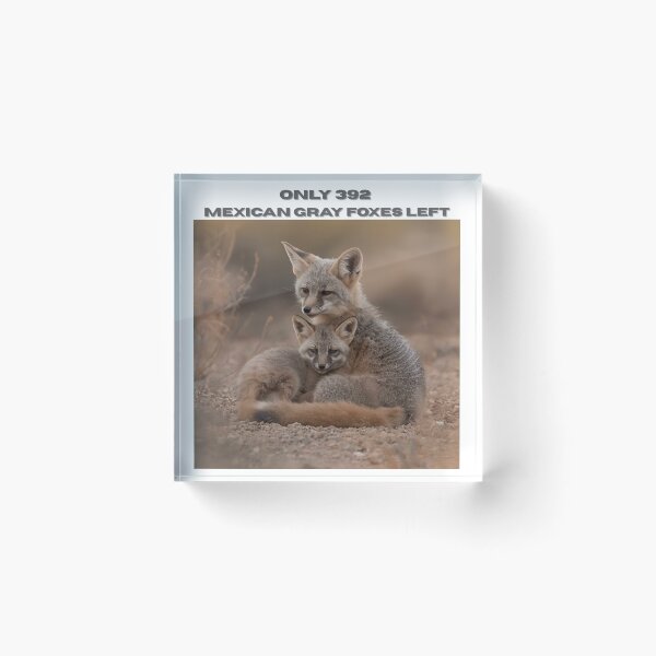 Item preview, Animal Baby Series, Endangered Species, Mexican Gray Fox designed and sold by FullSurrender.