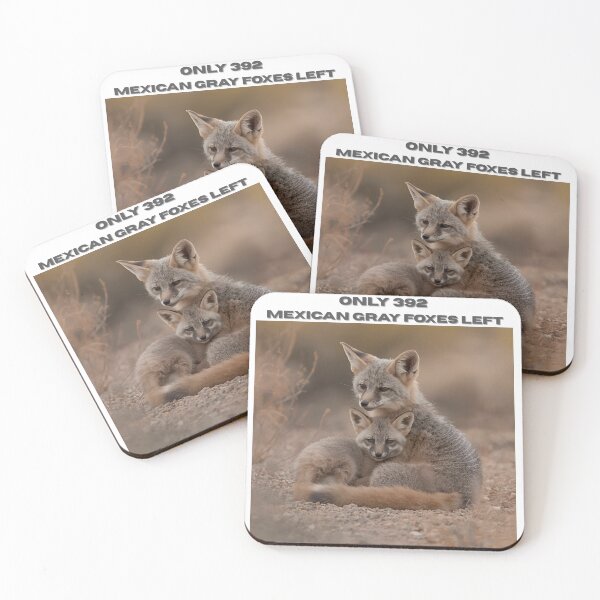 Item preview, Animal Baby Series, Endangered Species, Mexican Gray Fox designed and sold by FullSurrender.