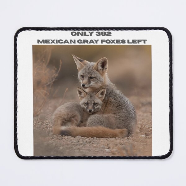 Item preview, Animal Baby Series, Endangered Species, Mexican Gray Fox designed and sold by FullSurrender.