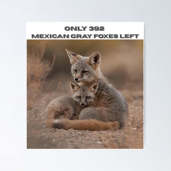 Item preview, Animal Baby Series, Endangered Species, Mexican Gray Fox designed and sold by FullSurrender.