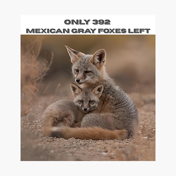 Item preview, Animal Baby Series, Endangered Species, Mexican Gray Fox designed and sold by FullSurrender.