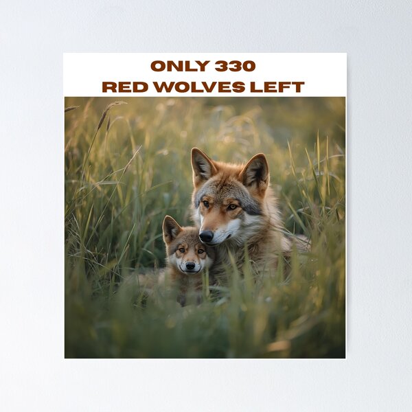 Item preview, Animal Baby Series, Endangered Species, Red Wolves designed and sold by FullSurrender.