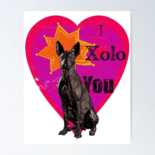 Item preview, "I Xolo You" Vintage Pop Art Xoloitzcuintle Love Design designed and sold by mongeekshirts.