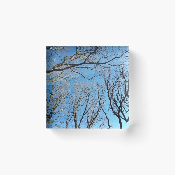 Item preview, Reaching branches designed and sold by els-art3.