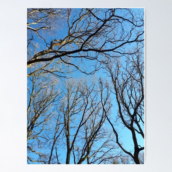 Item preview, Reaching branches designed and sold by els-art3.
