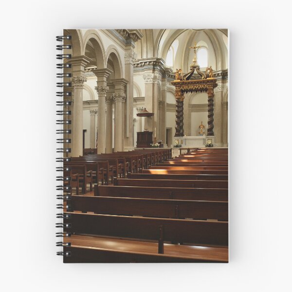 Item preview, Thomas Aquinas Sanctuary designed and sold by Armadillo222.