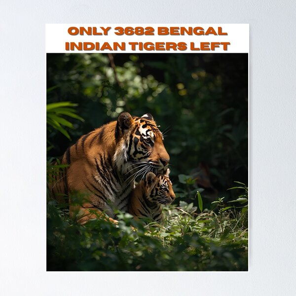 Item preview, Animal Baby Series, Endangered Species Bengal Tiger designed and sold by FullSurrender.