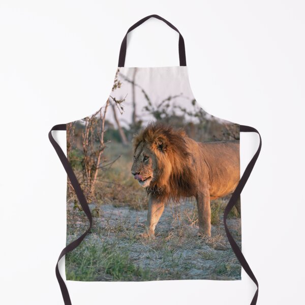 Item preview, Lion Of Savuti Romeo The Renegade At Sunset designed and sold by DavideAntoniani.