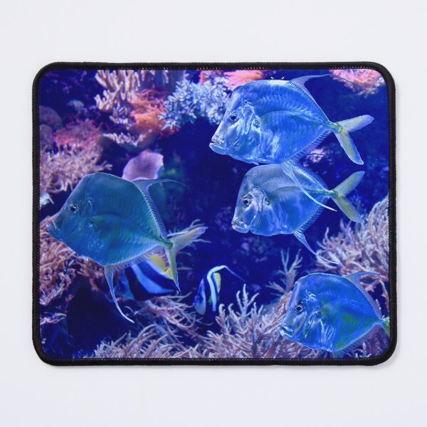 Item preview, Glass Fish – Magnificent Underwater World / Swiss Artwork Photography designed and sold by Raphael Wolf.