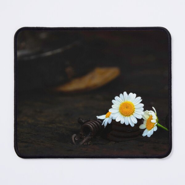 Item preview, Workbench Daisies designed and sold by Jim Love.