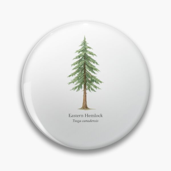 Item preview, Eastern Hemlock – Tsuga canadensis designed and sold by BloomKind.