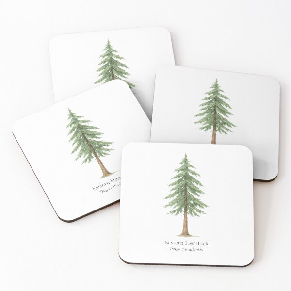Item preview, Eastern Hemlock – Tsuga canadensis designed and sold by BloomKind.