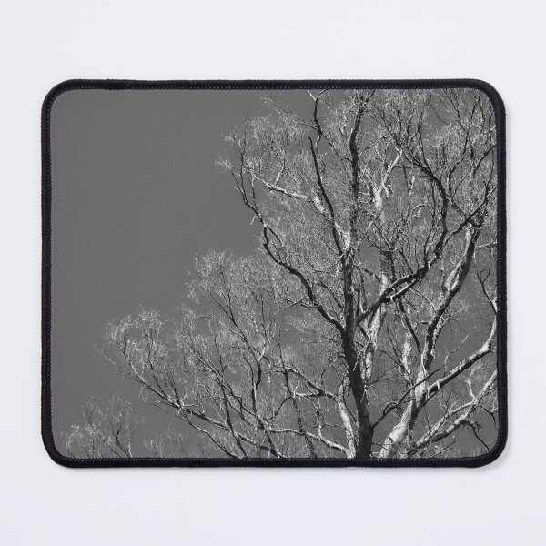Item preview, Barren Tree at Cleland National Wildlife Park, near Adelaide, Australia designed and sold by Douglas E. Welch Design and Photography.