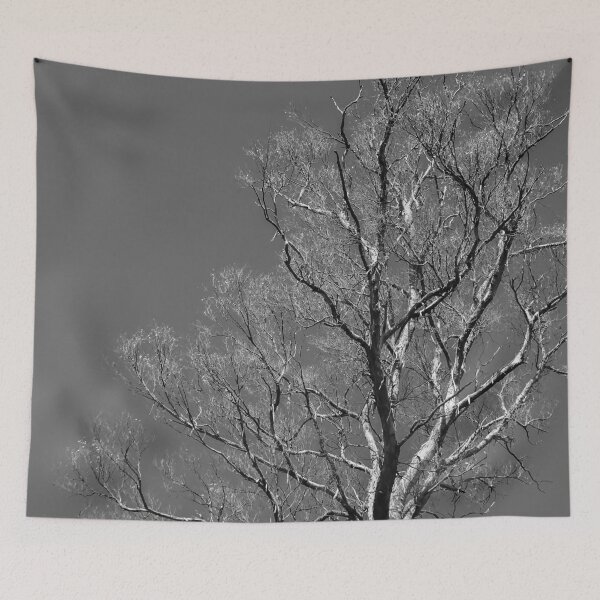 Item preview, Barren Tree at Cleland National Wildlife Park, near Adelaide, Australia designed and sold by Douglas E. Welch Design and Photography.