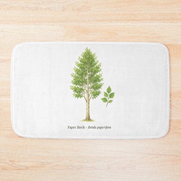 Item preview, Paper Birch – Betula papyrifera designed and sold by BloomKind.
