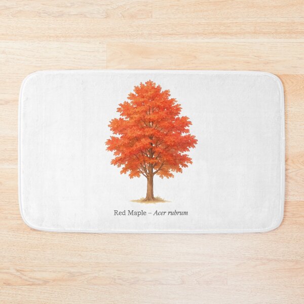 Item preview, Red Maple – Acer rubrum designed and sold by BloomKind.