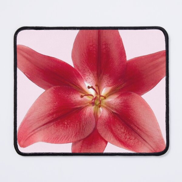 Item preview, red/ pink lily flower sticker designed and sold by inainart.