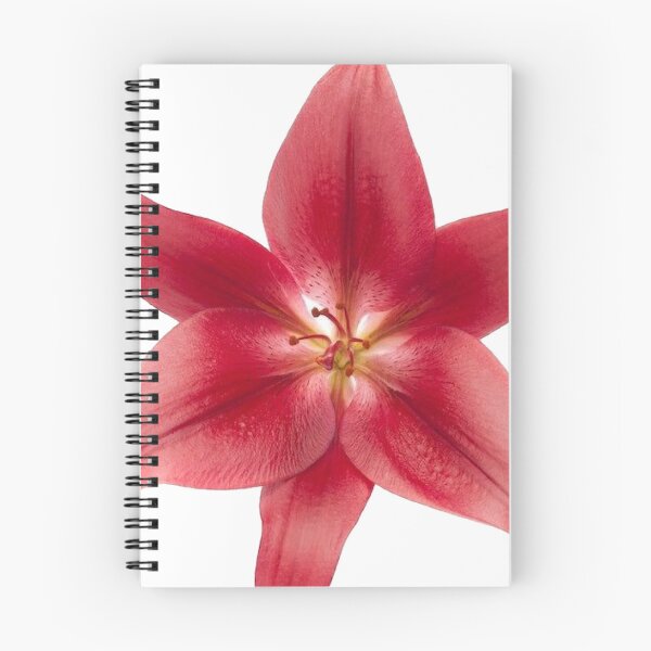 Item preview, red/ pink lily flower sticker designed and sold by inainart.