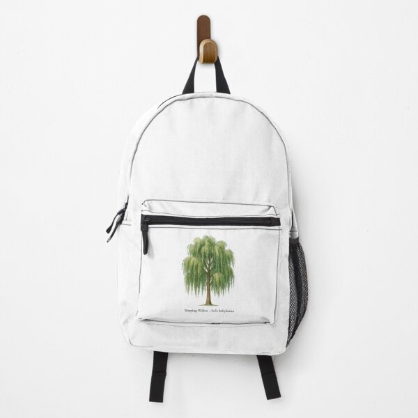 Item preview, Weeping Willow – Salix babylonica designed and sold by BloomKind.