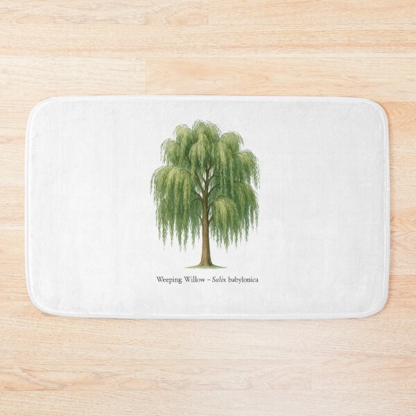 Item preview, Weeping Willow – Salix babylonica designed and sold by BloomKind.
