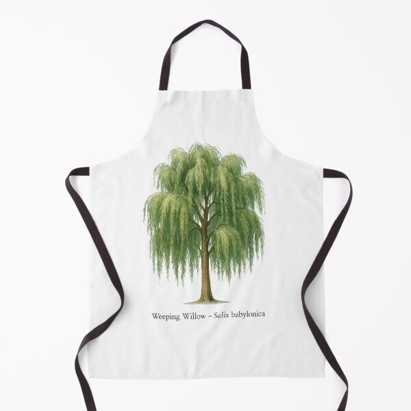 Item preview, Weeping Willow – Salix babylonica designed and sold by BloomKind.