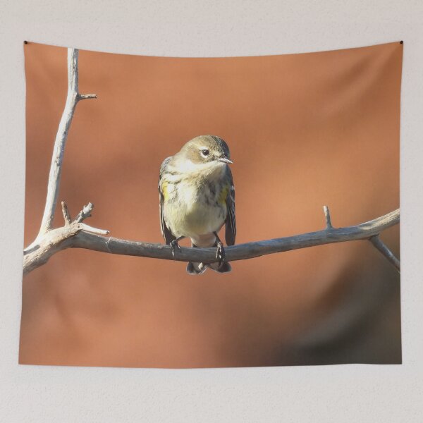 Item preview, Wild Bird, yellow-rumped warbler, wildlife gifts designed and sold by Sandra O'Toole.