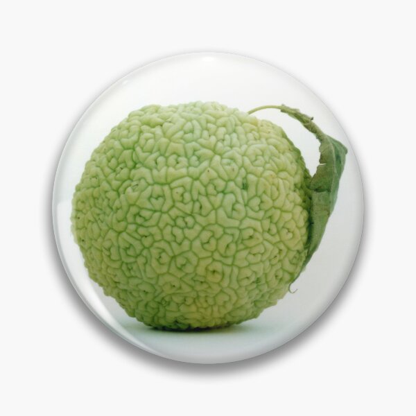 Artikelvorschau, Hecke Apple Hedgeapple Osage Orange entworfen und verkauft von Henry Nelson Design.