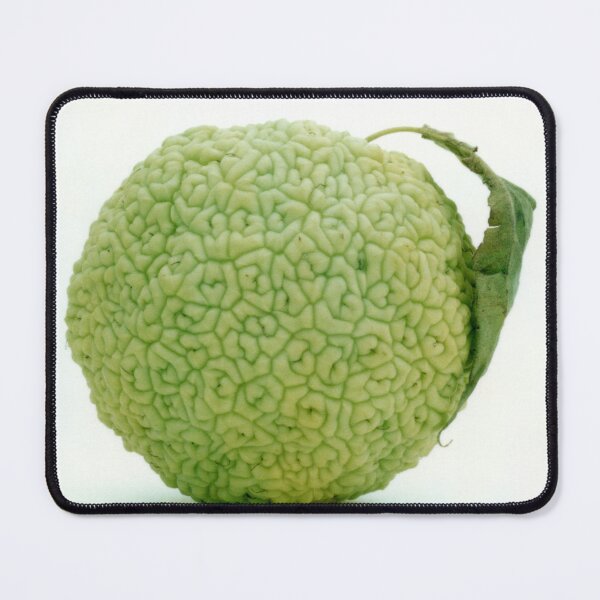 Item preview, Hedge Apple Hedgeapple Osage Orange designed and sold by Henry Nelson Design.