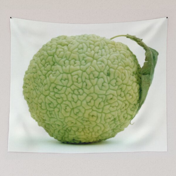 Item preview, Hedge Apple Hedgeapple Osage Orange designed and sold by Henry Nelson Design.