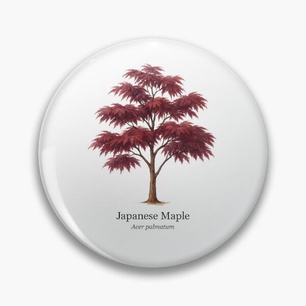 Item preview, Japanese Maple – Acer palmatum designed and sold by BloomKind.