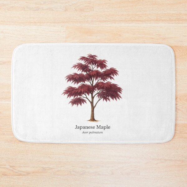 Item preview, Japanese Maple – Acer palmatum designed and sold by BloomKind.