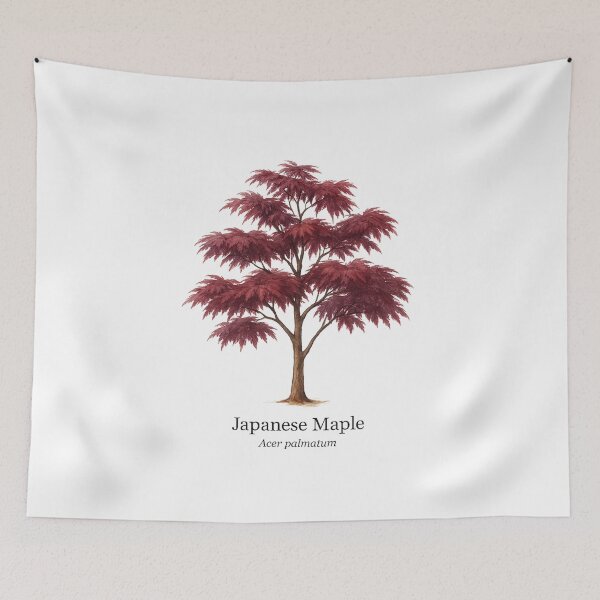 Item preview, Japanese Maple – Acer palmatum designed and sold by BloomKind.