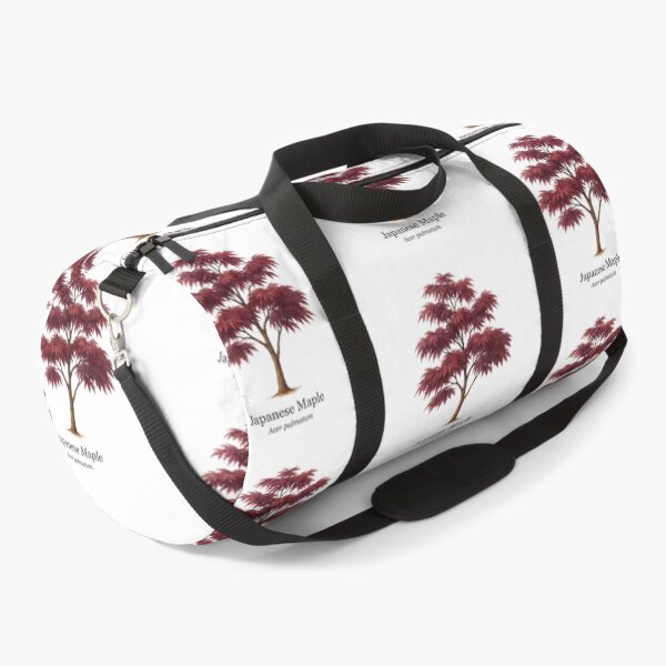 Item preview, Japanese Maple – Acer palmatum designed and sold by BloomKind.