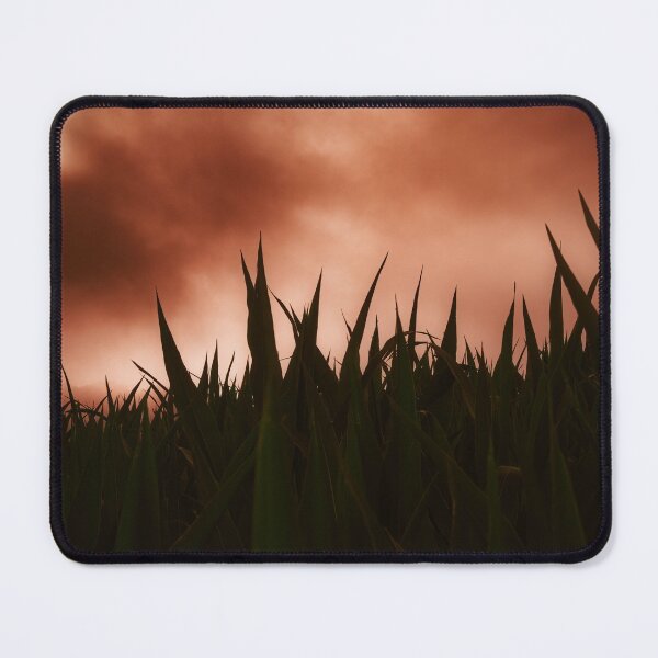 Item preview, Sol Sets The Fog Ablaze designed and sold by Jim Love.