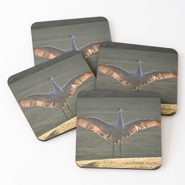Item preview, Sandhill Crane with Open Wings designed and sold by MercerImages.