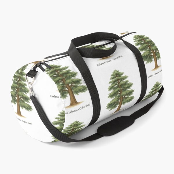 Item preview, Cedar of Lebanon – Cedrus libani designed and sold by BloomKind.