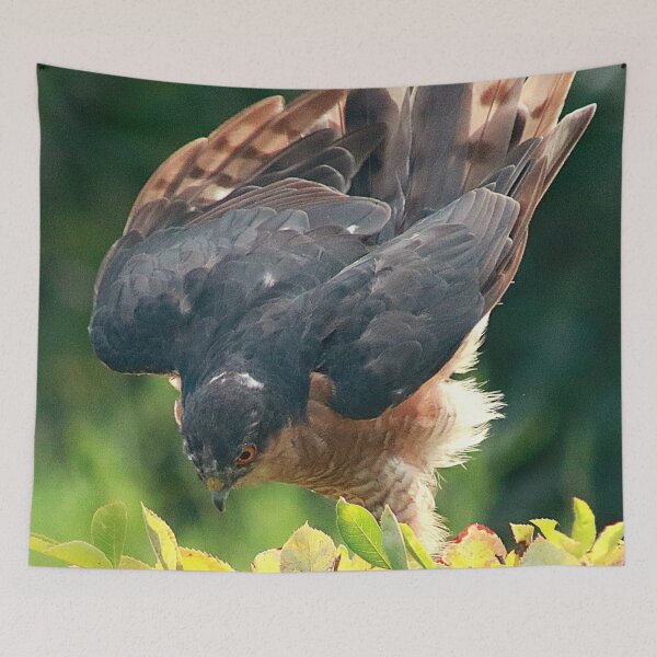 Item preview, Searching for prey designed and sold by missmoneypenny.