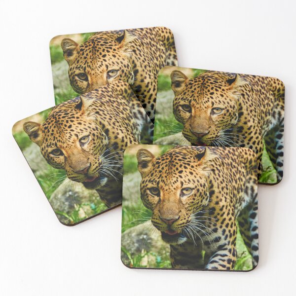 Item preview, Leopard II designed and sold by Eidetic Photos.
