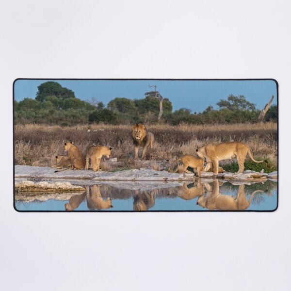 Item preview, Lion King Of Savuti Romeo And His Pride At Dawn designed and sold by DavideAntoniani.