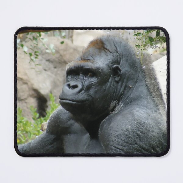 Item preview, Smiling Ape asking you looking at me too? designed and sold by TheMarketplaceworld.